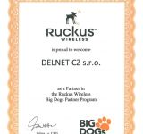 Ruckus partner