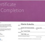 AutoCAD Intermediate