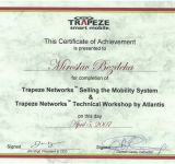 Trapeze WIFI Networks